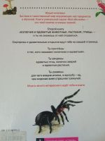 Лот: 19106993. Фото: 2. энциклопедия. Детям и родителям