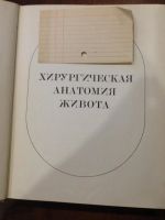 Лот: 10993691. Фото: 2. Хирургическая анатомия живота. Медицина и здоровье