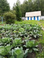 Лот: 23562594. Фото: 3. Продам дачу Арейское. Недвижимость