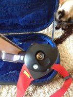 Лот: 7123633. Фото: 6. Yamaha RBX 270J