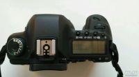 Лот: 9280926. Фото: 2. Canon EOS 5D Mark II body (тушка... Фотокамеры