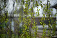Лот: 9592146. Фото: 3. Canon FL 55 1.2 (В прекрасном... Красноярск