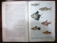 Лот: 20055348. Фото: 3. Комнатный аквариум под ред. М... Литература, книги