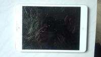 Лот: 3403311. Фото: 2. ipad mini 16gb с сим (Разбит дисплей... Компьютеры, ноутбуки, планшеты