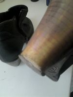 Лот: 9720765. Фото: 3. Ботинки женские Tamaris. Одежда, обувь, галантерея