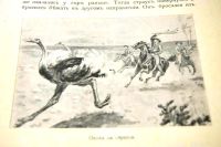 Лот: 20058171. Фото: 13. А.Бонсёр. Звезда Альбиона.* 1913...