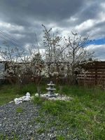 Лот: 25374500. Фото: 5. 2-комн. дача , СНТ Лесник СНТ...