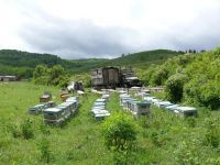 Лот: 6608126. Фото: 3. Мёд с чистых лугов Алтая. Красноярск