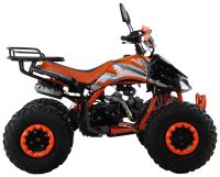 Лот: 25774807. Фото: 3. Квадроцикл MOTAX ATV T-Rex Super... Авто, мото, водный транспорт