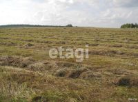 Лот: 17920207. Фото: 4. Продам участок. Код объекта: 6272205. Красноярск