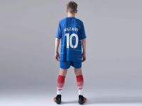 Лот: 12698023. Фото: 2. Футбольная форма Nike FC Chelsea... Спортивная одежда