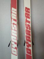 Лот: 16857054. Фото: 3. Горные лыжи Dynastar Trouble Maker... Спортивные товары