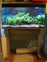 Лот: 8369947. Фото: 2. Аквариум 100 литров с подставкой... Аквариумистика