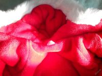 Лот: 8532240. Фото: 3. Комбинезон на Тойчика девочку... Растения и животные