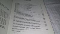 Лот: 13025202. Фото: 3. оз...Иван Грозный против «Пятой... Литература, книги