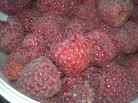 Лот: 5842074. Фото: 2. Малина. Продукты