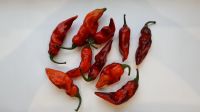 Лот: 14618240. Фото: 3. Взрослый Bhut Jalokia PND x в... Растения и животные