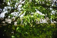 Лот: 10004276. Фото: 4. Tokina at-x PRO dx AF 35 mm f...