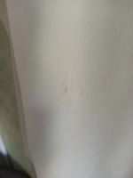 Лот: 23324311. Фото: 6. Блузка с бабочками 44 размер...