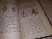 Лот: 5928544. Фото: 8. Учебник гинекологии, Вера Бодяжина...