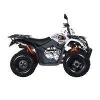 Лот: 25659385. Фото: 3. Квадроцикл KAYO Big Bull. Авто, мото, водный транспорт