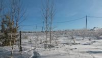 Лот: 6788971. Фото: 4. Участок в старцево 15 соток 7км... Красноярск