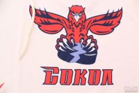 Лот: 13365331. Фото: 2. Джерси ХК Сокол (подростковая). Спортивные товары