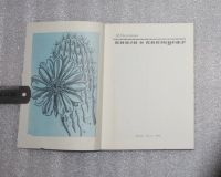 Лот: 21426057. Фото: 3. Книга о кактусах. Залетаева И... Литература, книги