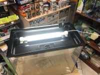 Лот: 15945753. Фото: 3. Аквариум 90литров. Растения и животные