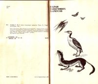 Лот: 15637940. Фото: 4. Олефир Станислав - В краю танцующих...
