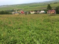 Лот: 10229902. Фото: 2. Участок. Продажа