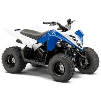 Лот: 25740265. Фото: 3. Квадроцикл YAMAHA YFM90R (Raptor... Авто, мото, водный транспорт