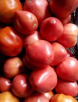 Лот: 7932879. Фото: 3. Минусинские домашние помидоры... Красноярск