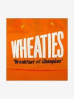 Лот: 22405737. Фото: 5. Бейсболка AMERICAN NEEDLE 20001A-WHEAT...