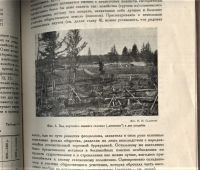 Лот: 20612555. Фото: 6. М.К. Расцветаев. К десятилетию...