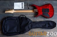 Лот: 17109480. Фото: 7. Fernandes FGZ-420 VRG