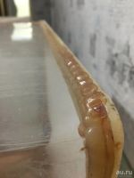 Лот: 13748269. Фото: 5. Два аквариума из оргстекла 110л...