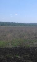 Лот: 4528405. Фото: 3. ПАЙ 12 га шуваево. Недвижимость