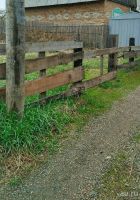 Лот: 3334449. Фото: 2. Земельный участок в Cолонцах... Продажа