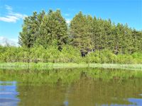 Лот: 22517678. Фото: 6. Дом 40 м² на участке ИЖС 40 соток