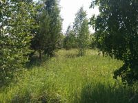 Лот: 5832180. Фото: 3. Участок в р-не совхоза Сибиряк... Недвижимость