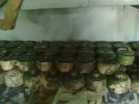 Лот: 1064092. Фото: 2. Противогазы и два вида фильтров... Туризм