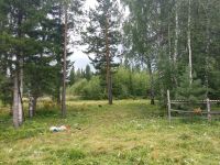 Лот: 5274289. Фото: 6. Учаток 16 соток. Снежница
