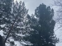 Лот: 25310331. Фото: 19. 2-комн. дача , садоводческое некоммерческое...