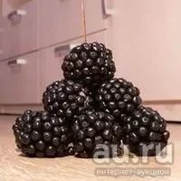 Лот: 8163920. Фото: 3. Элеутерококк колючий (Eleutherococcus... Для дачи, дома, огорода, бани, парка