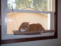 Лот: 4917801. Фото: 2. Гамак для кошек на окно. Животные и уход