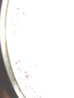 Лот: 8006798. Фото: 3. Чехословацкая глубокая тарелка... Домашний быт