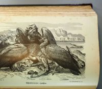 Лот: 18805274. Фото: 12. Брэм А.Э. Жизнь животных. 3 тома...