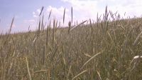 Лот: 21782725. Фото: 3. Сдам в аренду участок 6,5 га под... Недвижимость