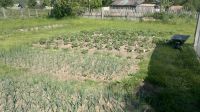 Лот: 8532274. Фото: 4. Продам дачу, ст. Бадаложная. Красноярск